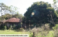 Casas antigas (3)